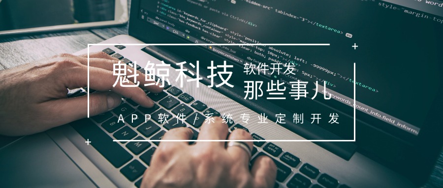 上海软件定制开发：魁鲸科技提供一站式全方位服务