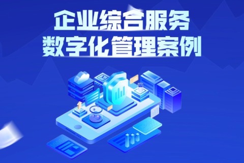 企业数字化综合效劳平台案例
