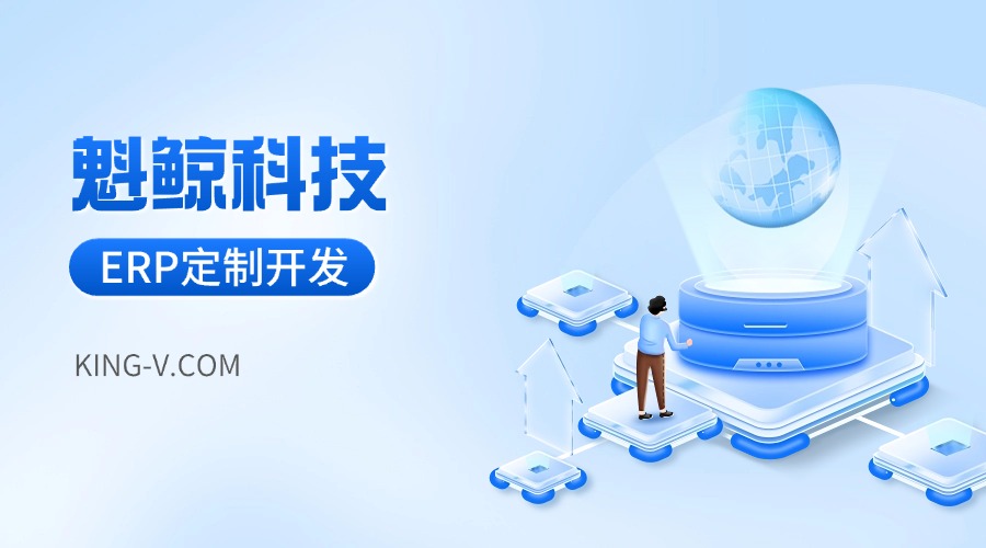 上海ERP定制案例