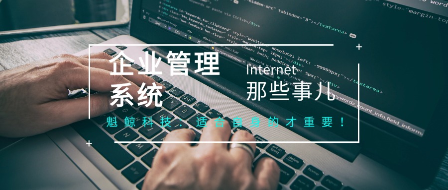 魁鲸科技：如何选择适合自身的企业管理系统开发？