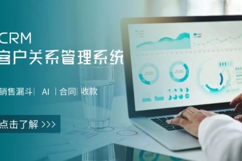 CRM客户治理系统定制计划