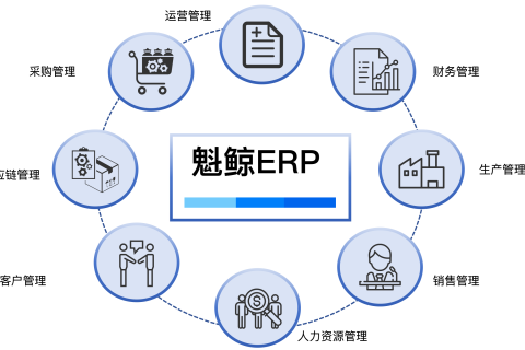 ERP企业治理系统个性化定制