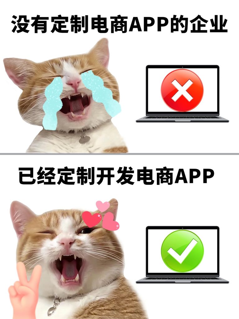 电商类APP定制开发