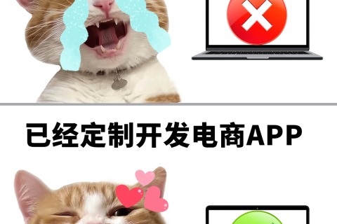 电商类APP定制开发