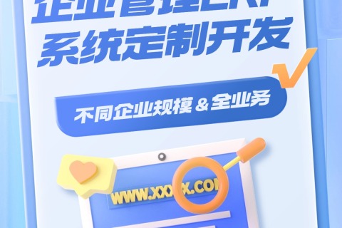 企业治理ERP系统定制开发：面向差别规模企业的全营业场景解决计划