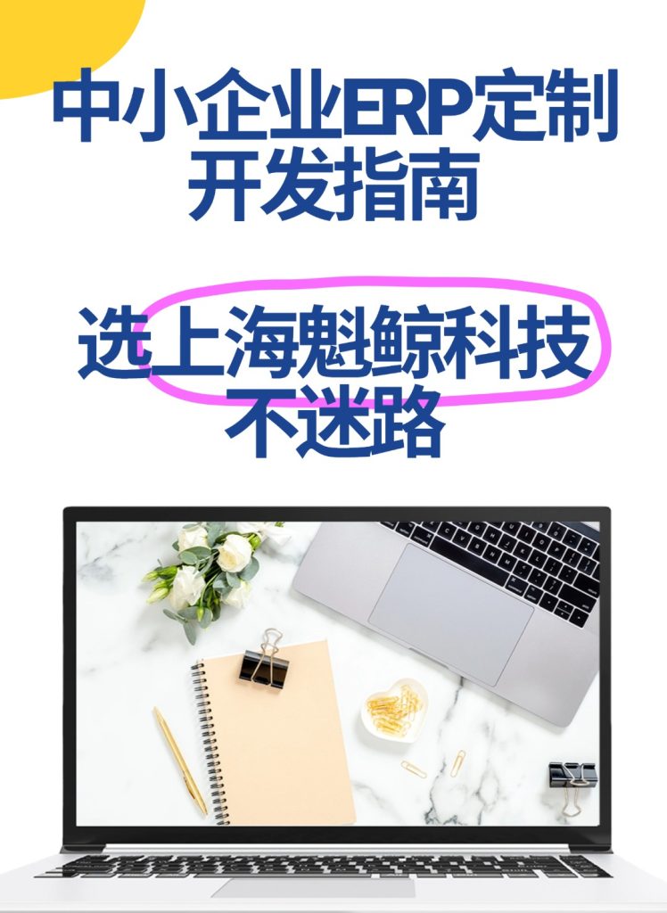 中小企业ERP定制开发指南，选上海魁鲸科技不迷路
