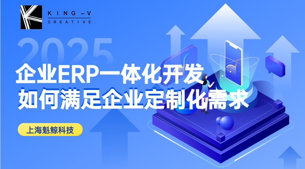 企业ERP一体化开发：如何满足企业定制化需求？