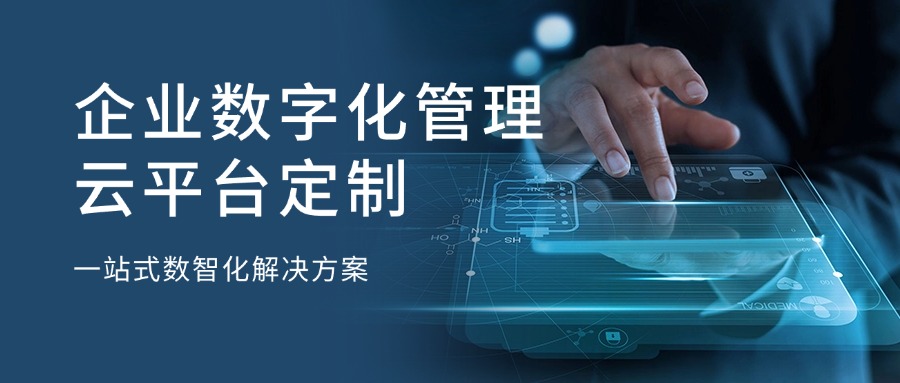 企业数字化管理云平台定制