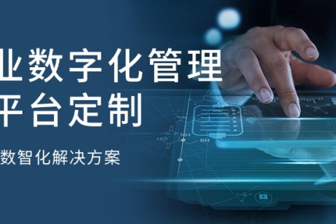 企业数字化治理云平台定制