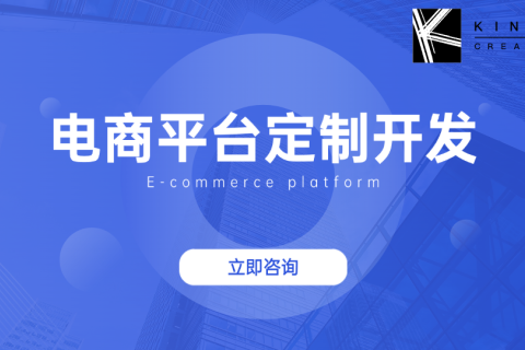 电商平台定制开发