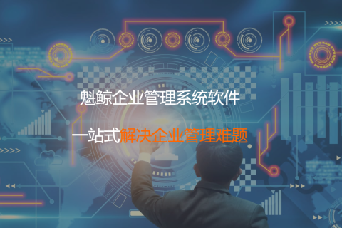 企业治理系统定制