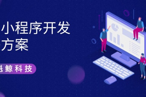 智慧小程序开发解决计划
