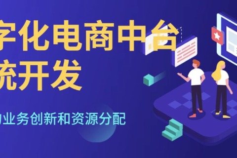 数字化电商中台系统开发