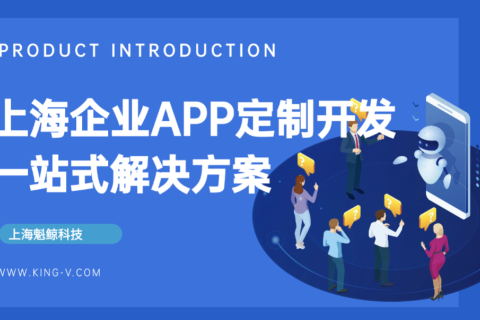 上海企业APP定制开发一站式解决计划