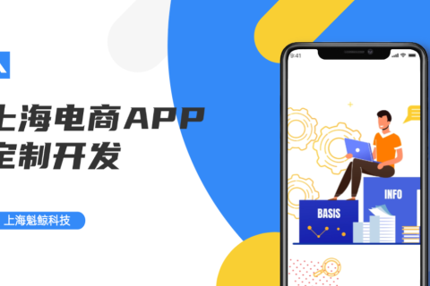 上海电商APP定制开发