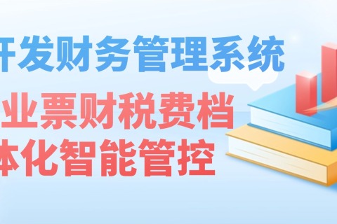 定制开蓬勃政治理系统，，，，，，，实现业票财税费档一体化智能管控