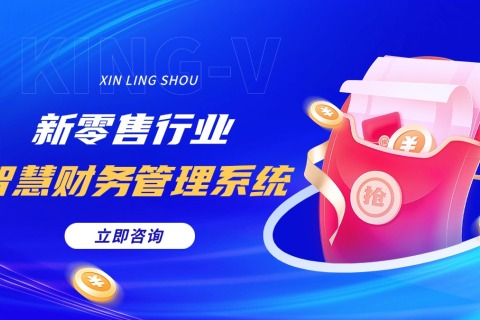 新零售行业智慧财务治理系统解决计划