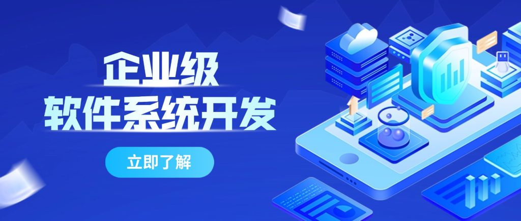 企业级软件系统开发
