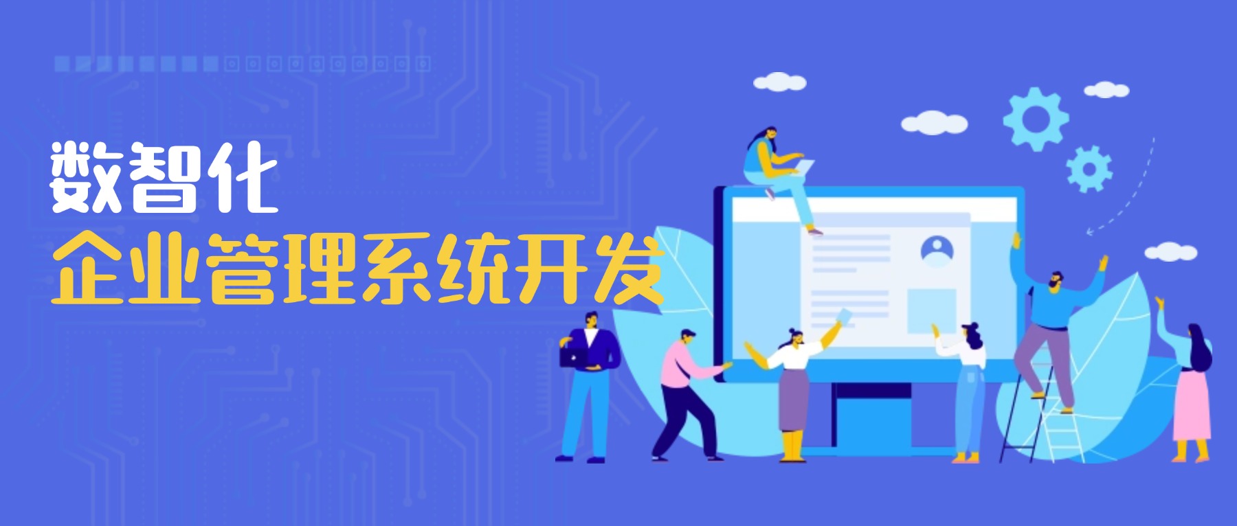数智化企业管理系统开发