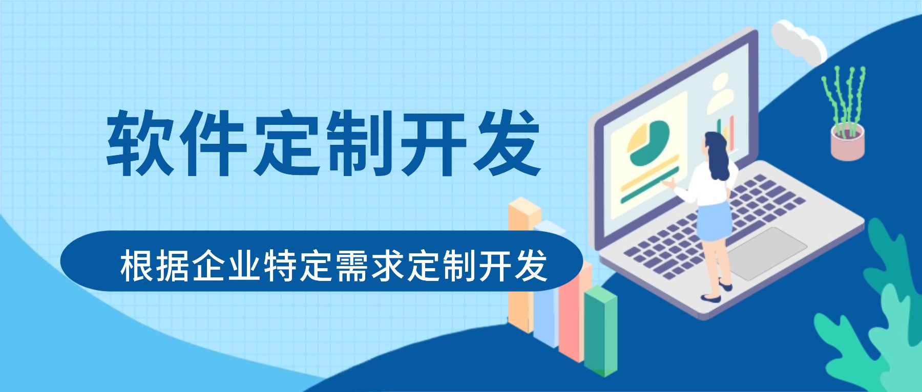软件定制开发