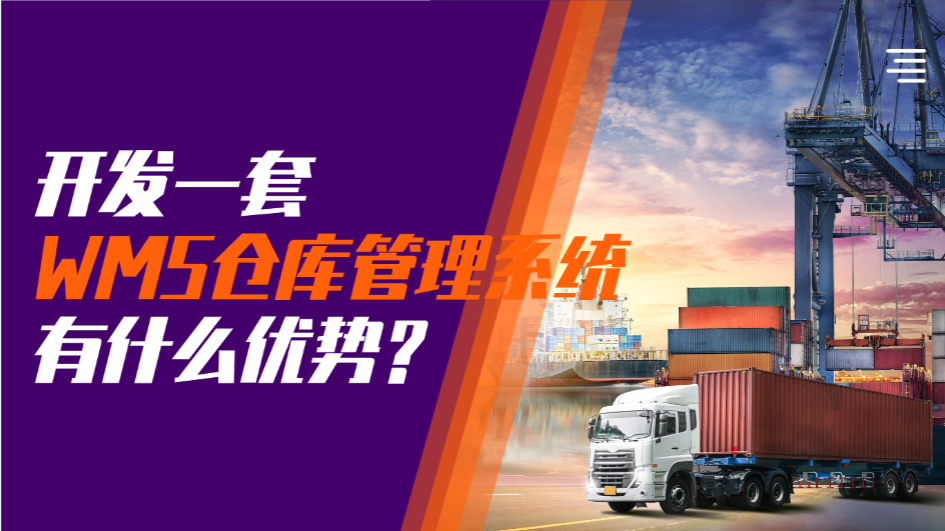 开发WMS仓库管理系统