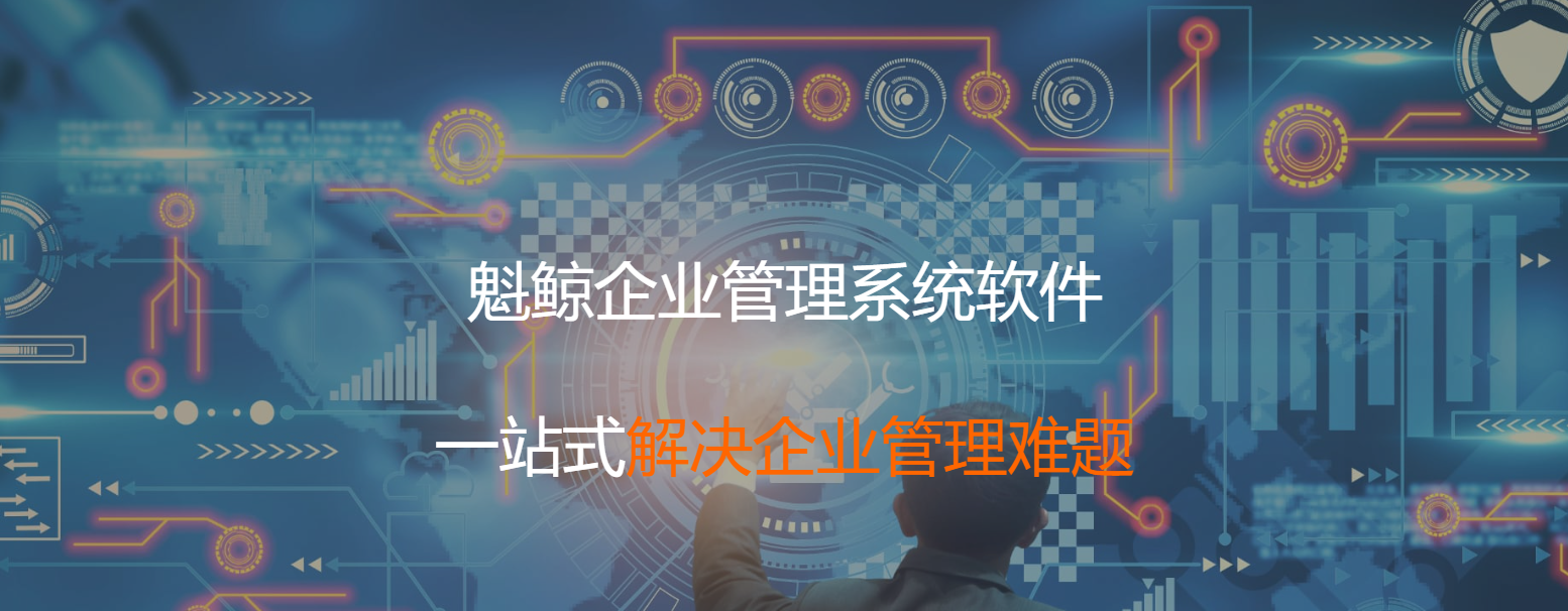 上海软件定制开发公司