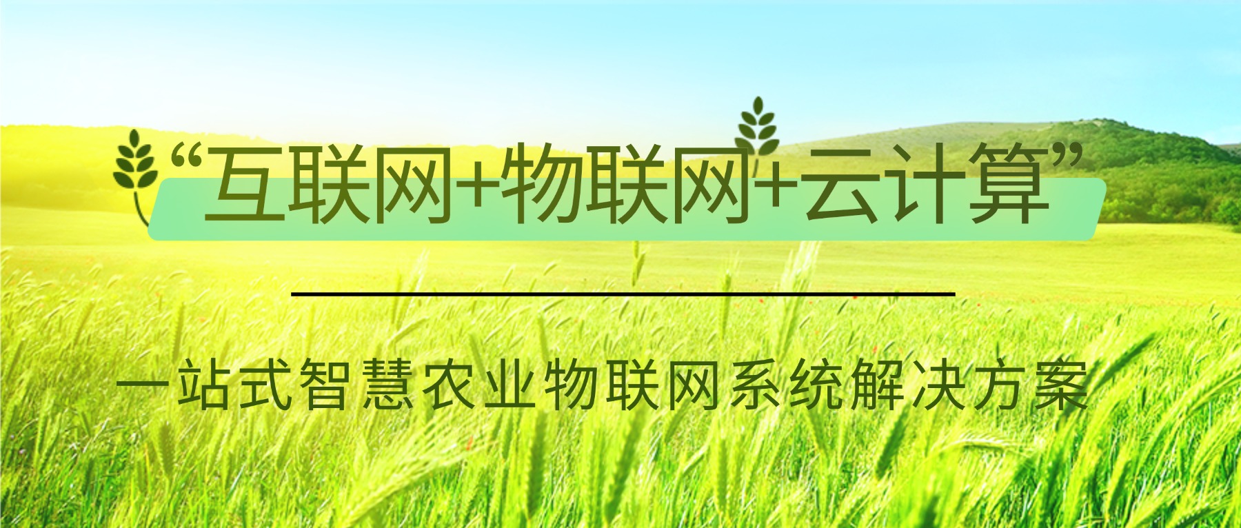 一站式智慧农业物联网系统