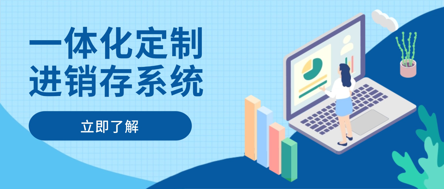 一体化定制进销存系统