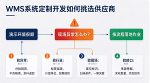 WMS系统定制开发如何挑选供应商